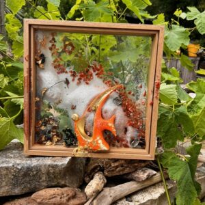 L’Onde du Poisson-Corail
