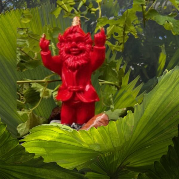 Rouge rebelle – Image 2
