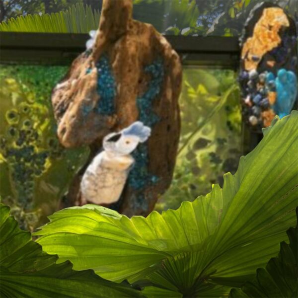 Les Amants du jardin tropical – Image 2